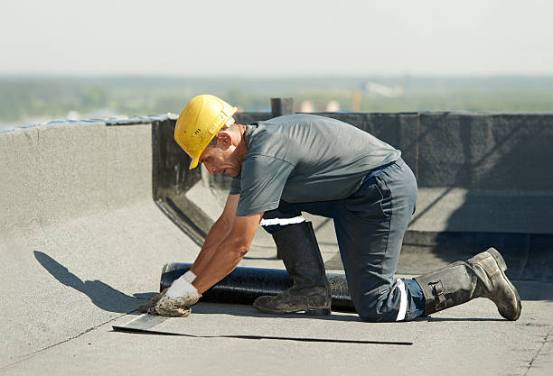 Best Insulation Installation Services in Essexville, MI